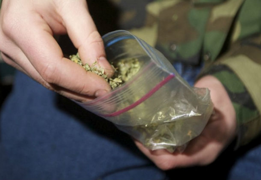 Свертки с марихуаной хранил в теплице мужчина из Ростовской области