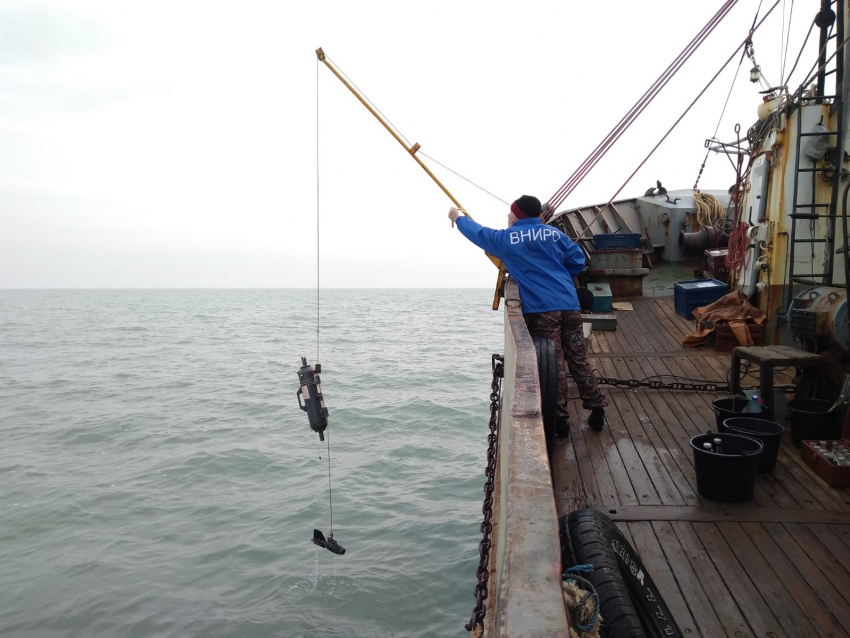 Потепление в Азовском море привело к образованию «ледового цунами»