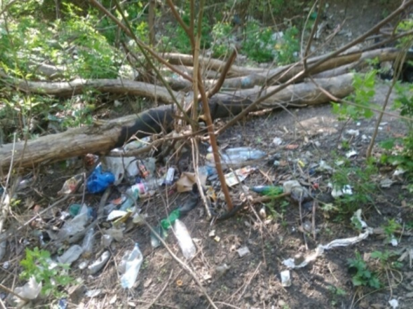 Ростовчанку ужаснула «очищенная» от мусора на 11 млн рублей Балка Рябинина