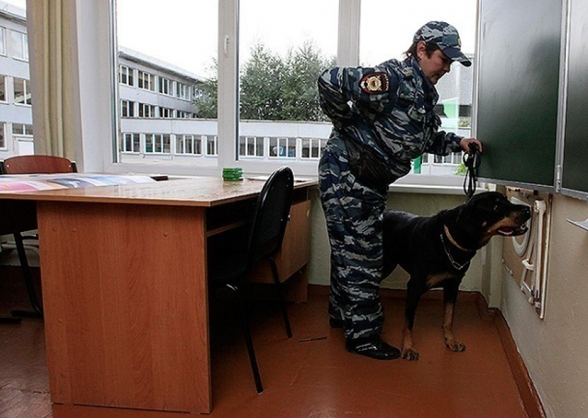 Кинологи с собаками принялись искать взрывчатку в школах Ростова