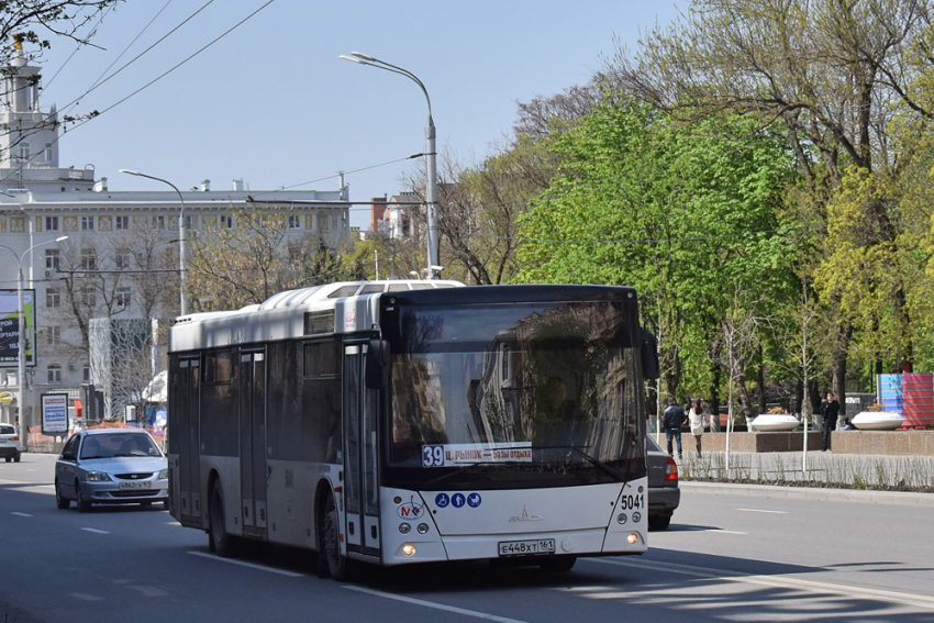 На Масленицу в Ростове пустят дополнительные автобусы на левый берег Дона