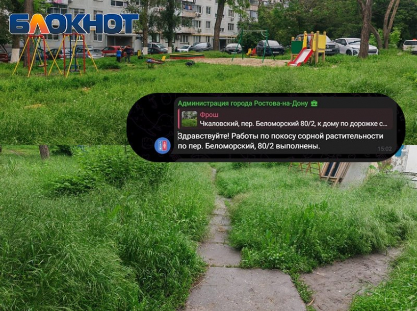 Сорняки на осталась месте: коммунальщики оставили высокую траву возле детской площадки в Ростове