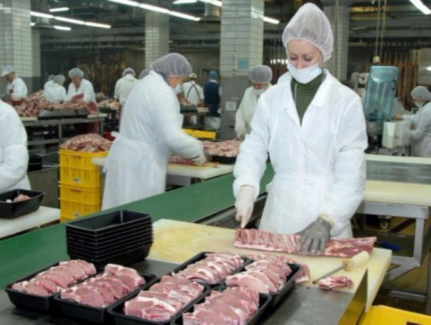 Яйца и мясо в 2016 году восхитили ростовских чиновников