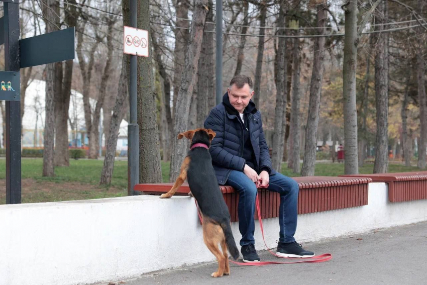 Слюсарь опубликовал милые кадры с Каштанкой во время прогулки