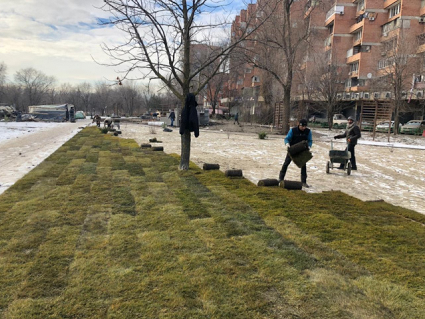 В Ростове-на Дону продолжают озеленять сугробы  