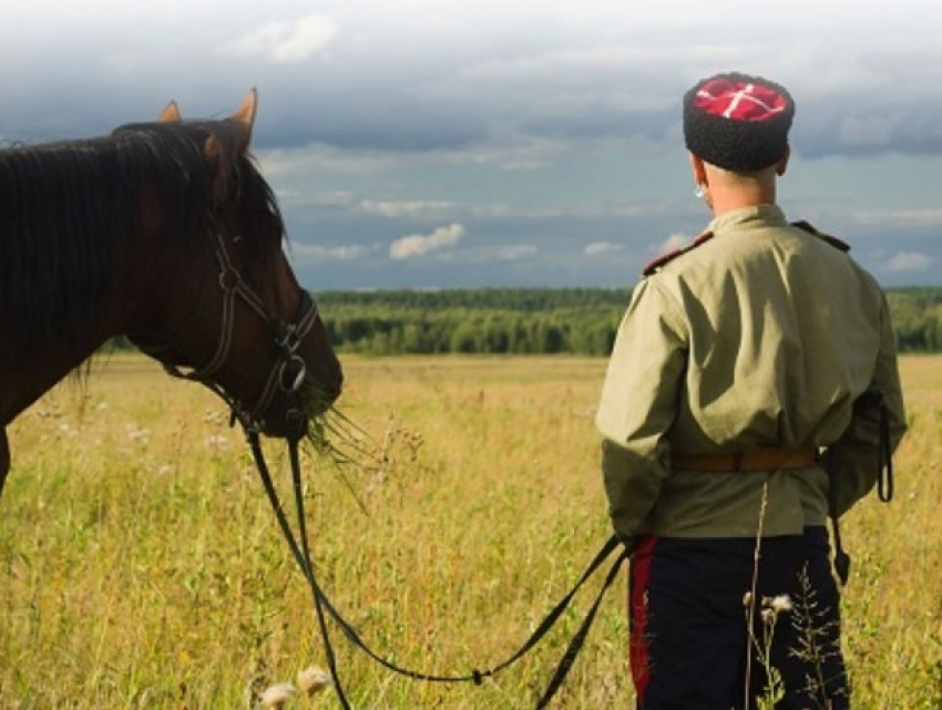 Казаков в Ростовской области заставили вернуть землю государству