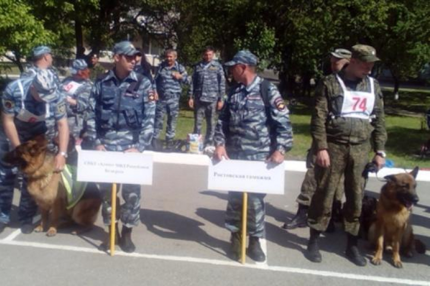 Международные соревнования специалистов-кинологов прошли в Ростове