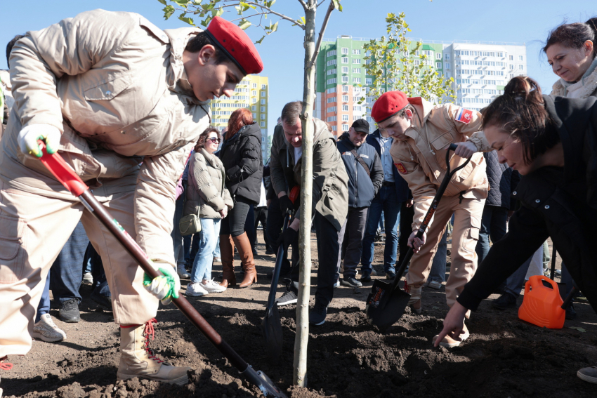Новый парк в честь 80-летия Победы в Великой Отечественной войне заложили в Ростове