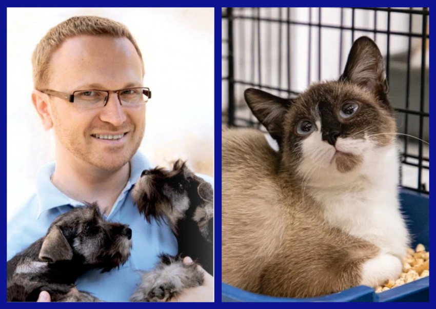 «Старайтесь беречь питомцев»: как правильно защитить любимцев от зноя, рассказал ростовский профессор