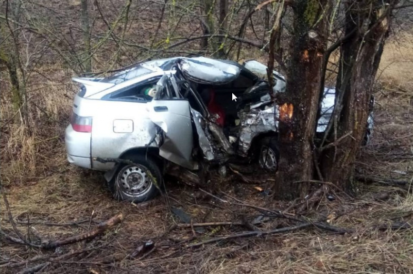 Влетевший в дерево автомобиль унес жизни двоих молодых людей в Ростовской области