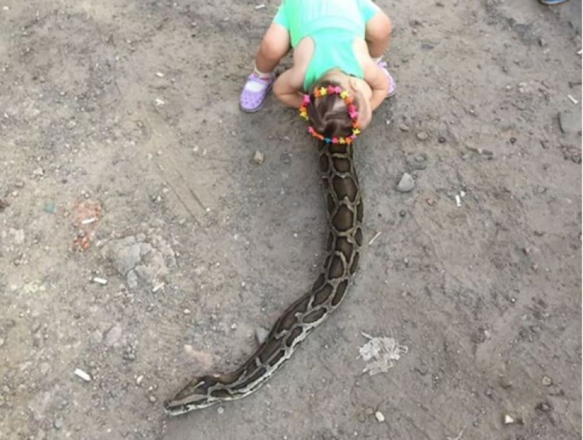 Маленькая девочка прокатилась на огромном питоне в Ростове-на-Дону