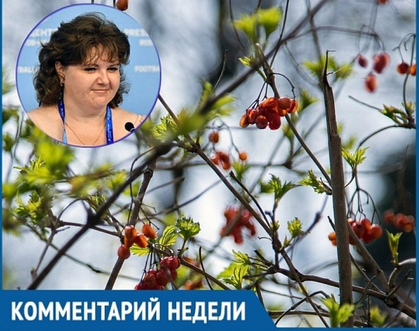 В Росгидромете рассказали, когда в Ростов придет весна