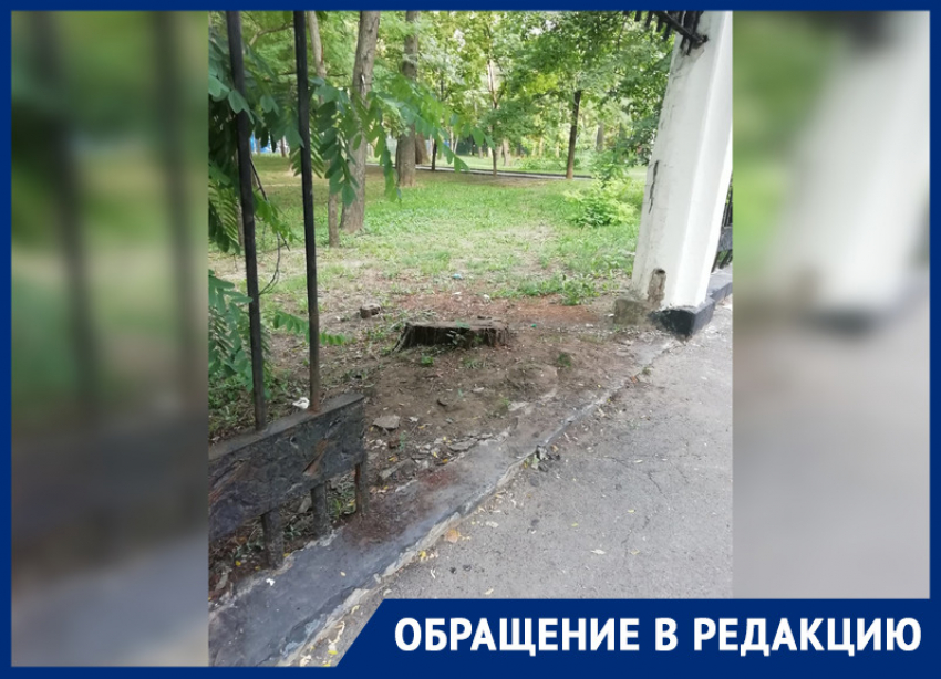 В парке Революции в Ростове вандалы разобрали часть металлического забора