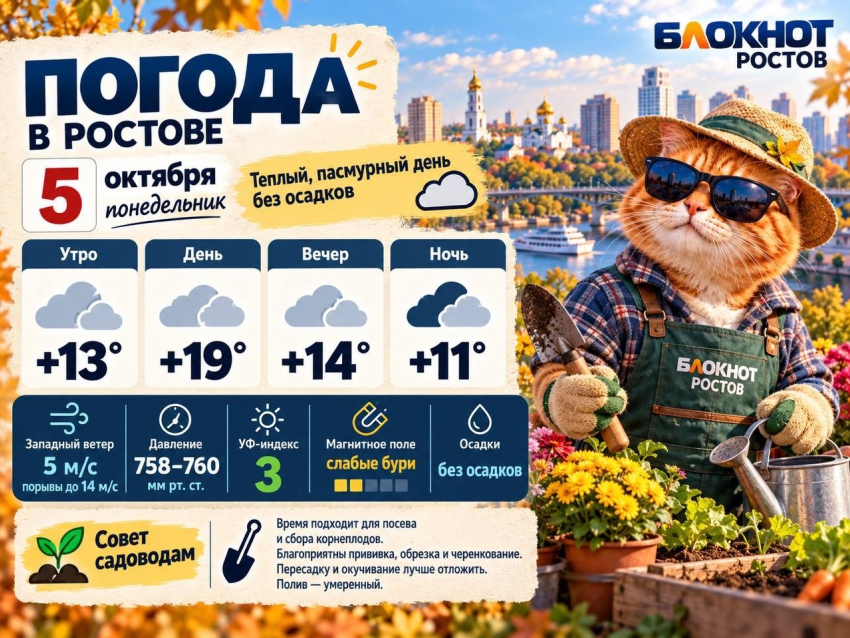Тепло и пасмурно: какая погода ждет Ростов 5 октября