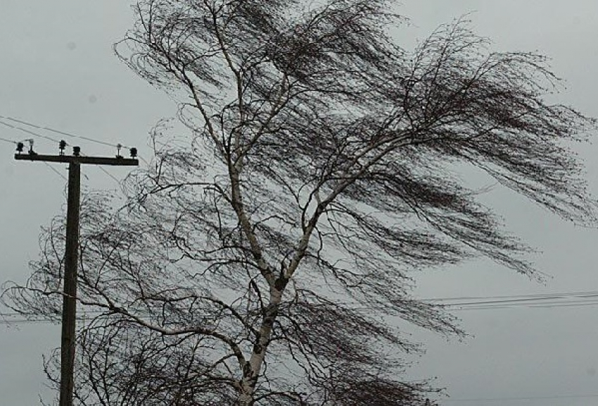 В Ростовской области объявлено экстренное предупреждение: порывы ветра достигнут 30 м/с