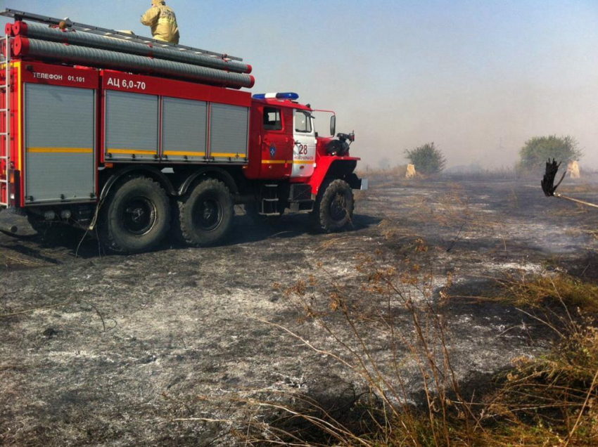 В Ростовской области 50 человек тушили горящее поле