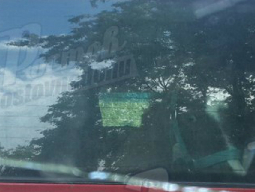 «Бешеный» пони в багажнике автомобиля вызвал смех и недоумение у жителей Ростова