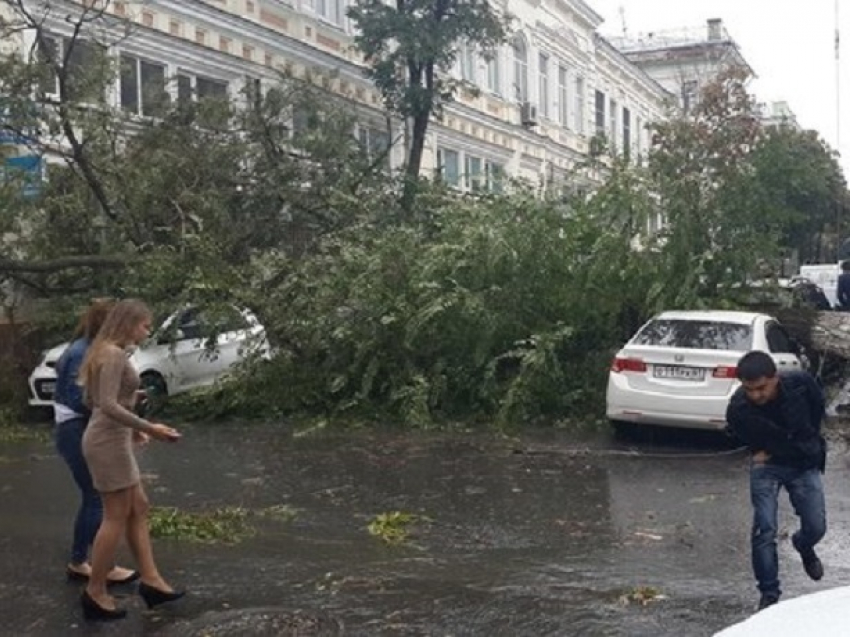 Наводнение и ураган с ветром до 90 км/ч обещают Ростову в ближайшие часы