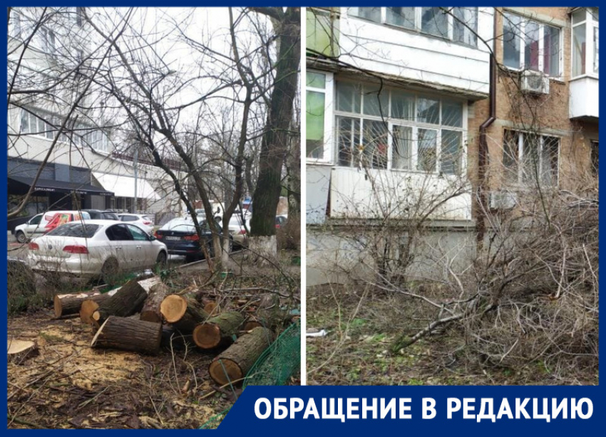 «Секретное» распоряжение: в Ростове под видом благоустройства снова спилили деревья