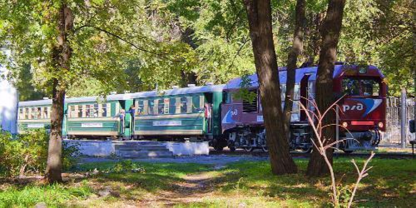 Ростовскому парку вручат «Хрустальное колесо» как лучшему в России