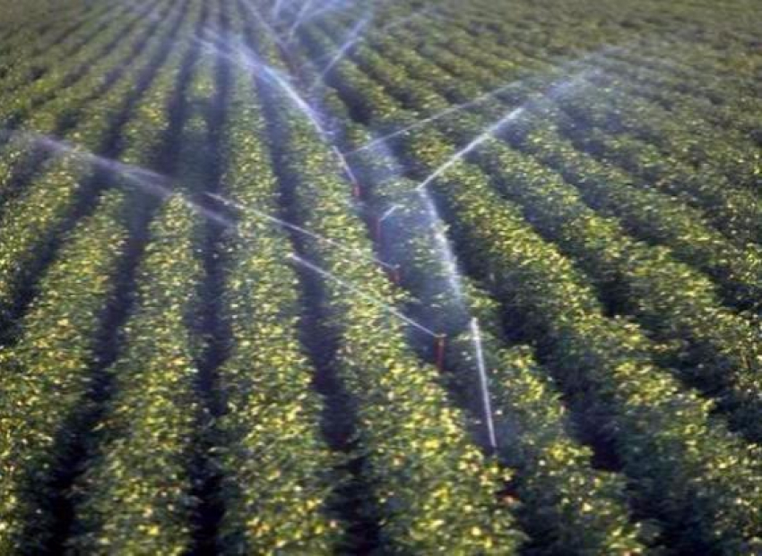 Ростовским аграриям выделили  9,6 млн. рублей  на полив риса
