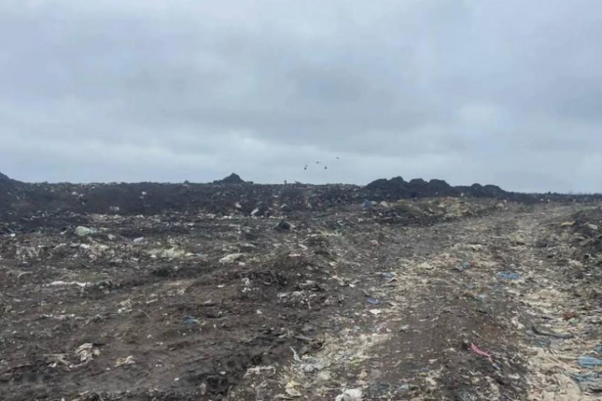 Росприроднадзор требует 367 миллионов у бывшего регоператора «Экострой-Дон» за вред почвам