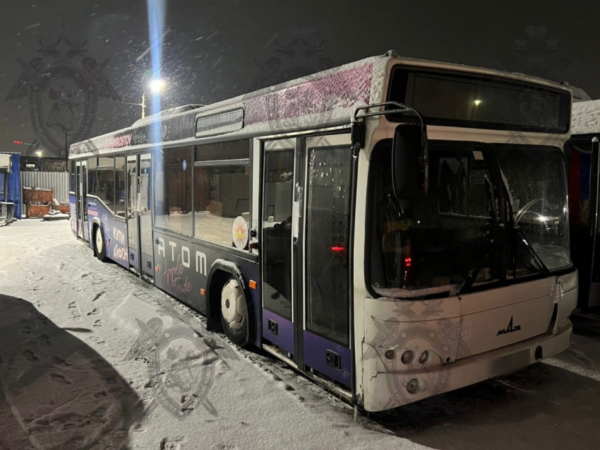 В Ростове осудят водителя, который дверью автобуса защемил ногу пожилой женщине