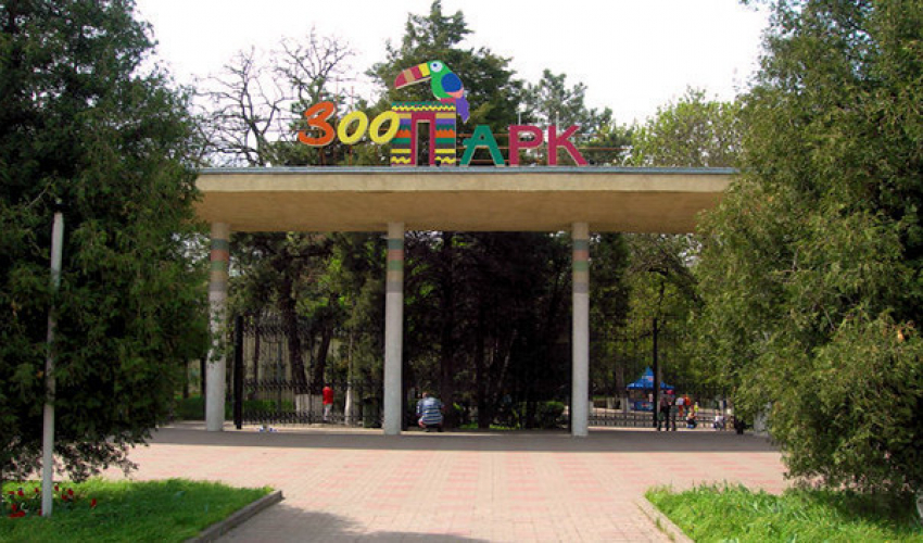 1 мая в Ростовском зоопарке стартует весенне-летний сезон