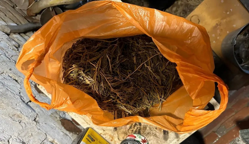 Почти полкило наркотиков нашли дома у жителя Ростовской области