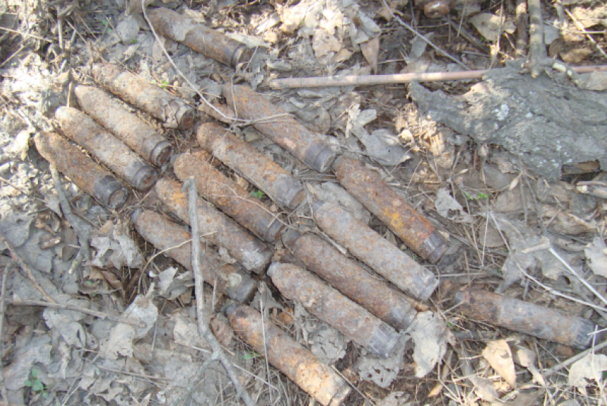 В Ростовской области возле дороги найдено более 20 снарядов времен ВОВ