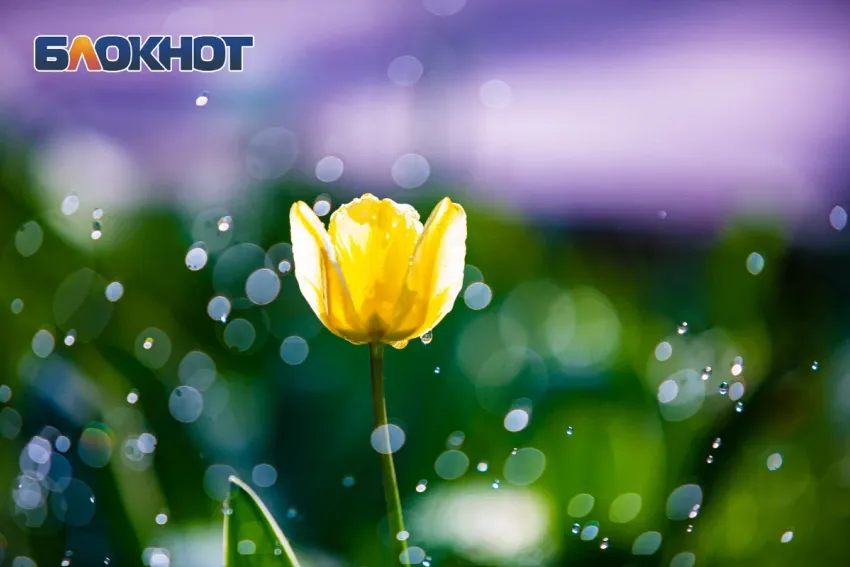 В Ростове Страстная пятница будет пасмурной и дождливой