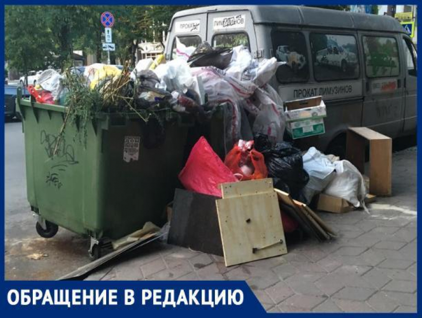 Жители Ростова пожаловались на зловонные мусорные баки в центре города