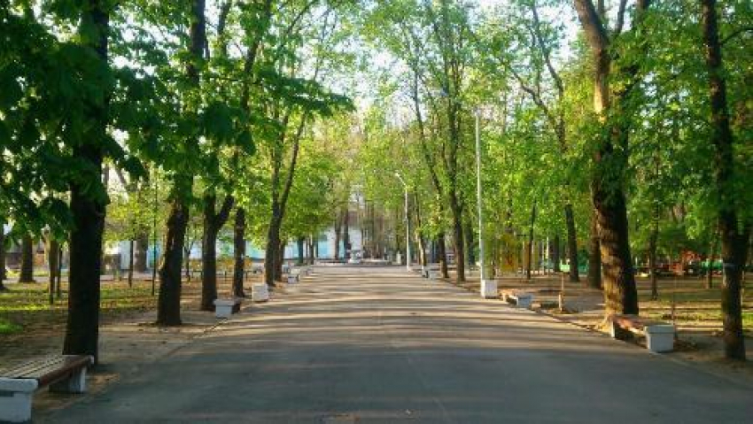 Парк Вити Черевичкина реконструируют за бюджетные средства