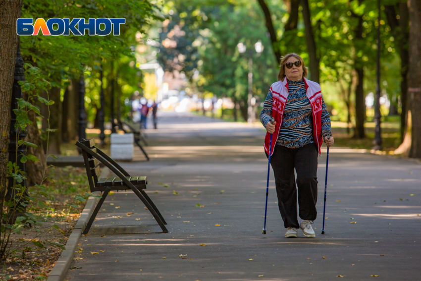 Движение пешеходов на два месяца ограничат в Ростове
