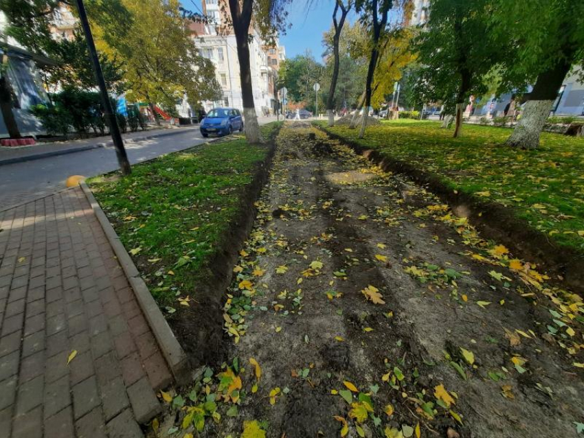 В Ростове на Пушкинской ради велодорожек решили уничтожить газон