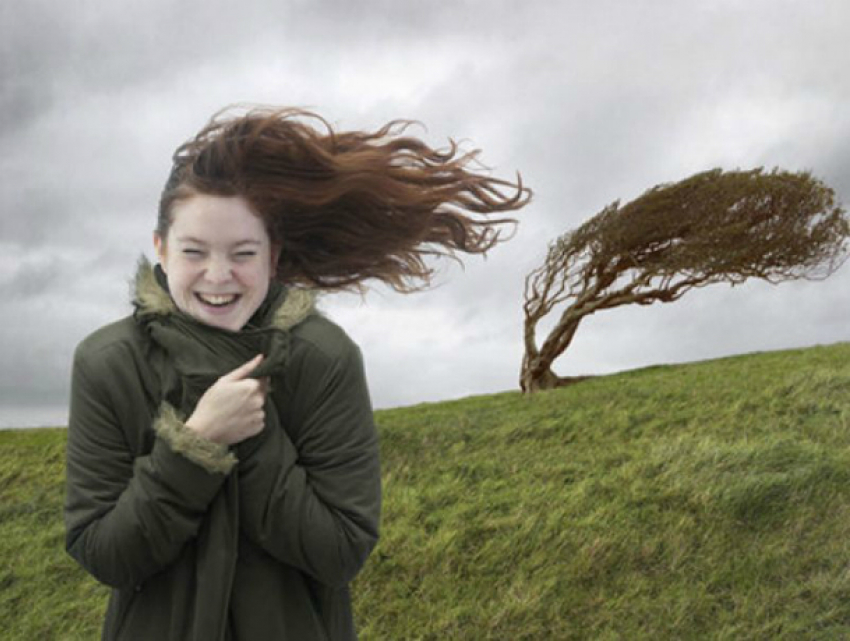 Сильный порывистый ветер не даст сжариться от майского солнышка жителям Ростова