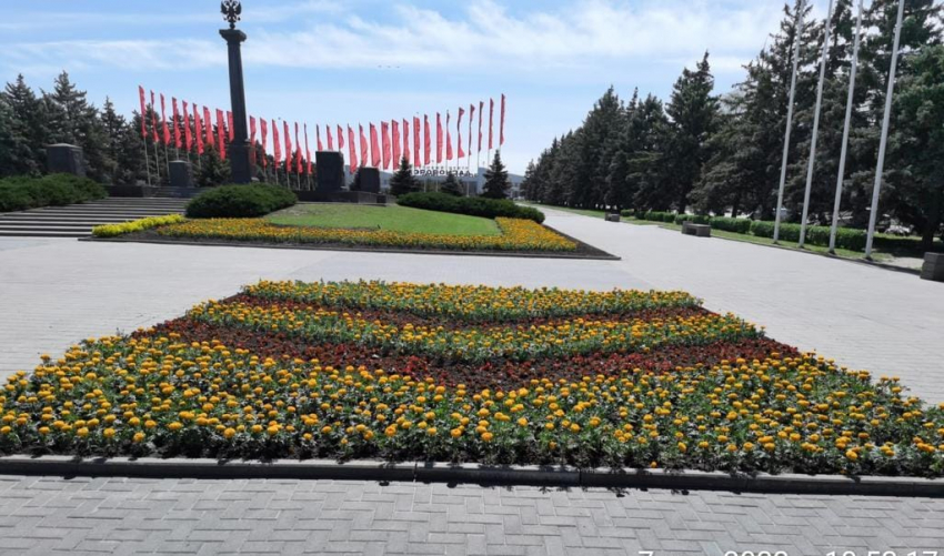 На улицах Ростова высадили 43 тысячи летних цветов