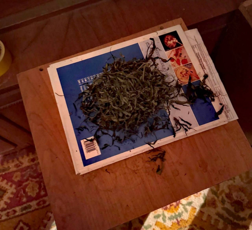 Крупную партию марихуаны нашли дома у жителя Ростовской области