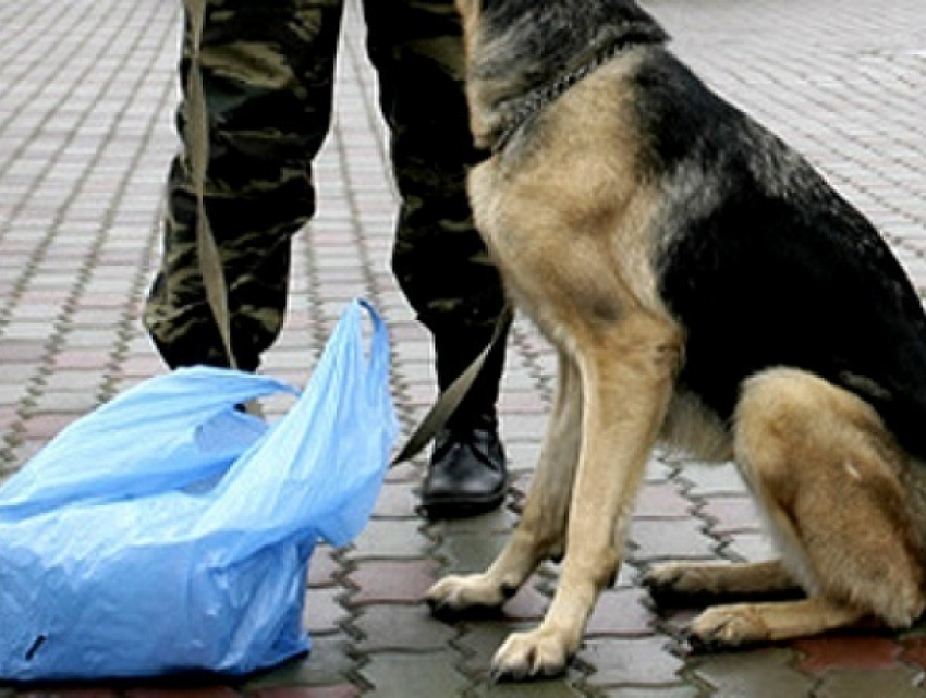 Подозрительный пакет стал причиной оцепления проспекта в Ростове