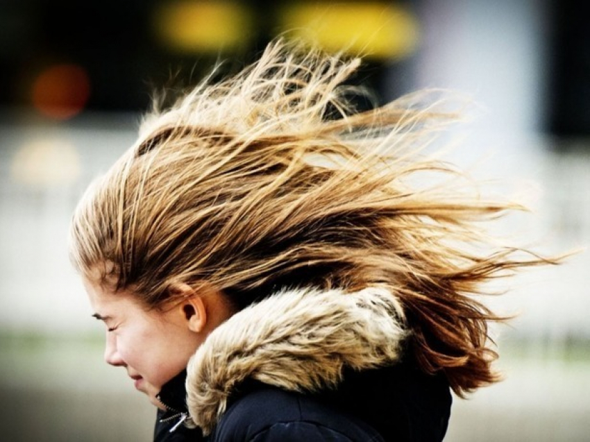 Управление по делам ГО и ЧС Ростова предупреждает о штормовом ветре и мокром снеге 