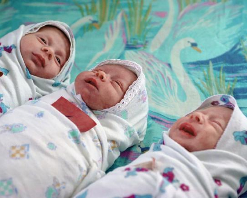 Впервые за четверть века в Ростове рождаемость превысила смертность