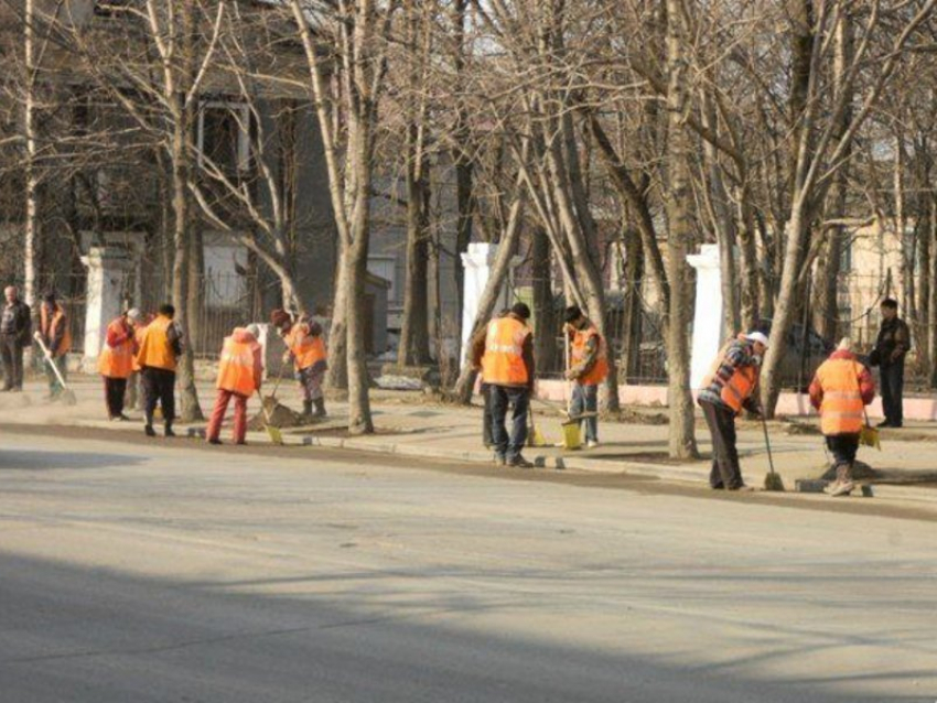 Бывшая петербурженка призывает ростовчан убирать мусор на улице