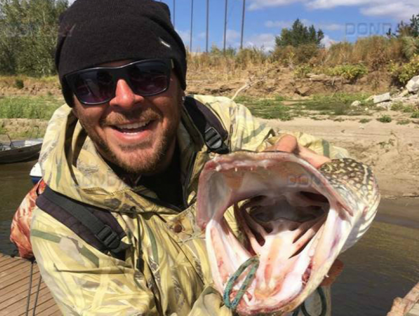 Огромную десятикилограммовую хищницу выловил из Волги заядлый ростовский рыболов