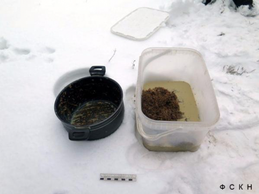 В Белокалитвинском районе арестован изготовитель наркотиков 