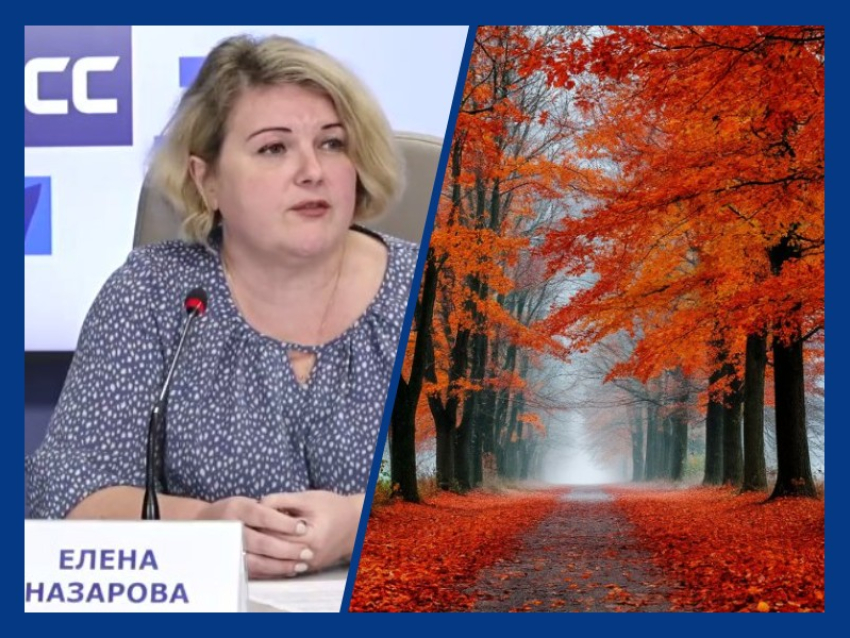 Что ждать от осени и зимы 2026–27 в Ростовской области: рассказала начальник гидрометцентра
