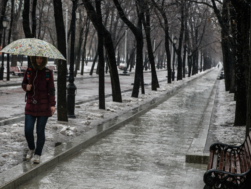 Прохладным и дождливым выдастся первый день рабочей недели для жителей Ростова