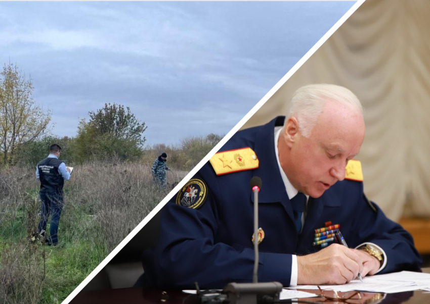 Расследование убийства девочки в Ростовской области взял на контроль председатель СК Бастрыкин