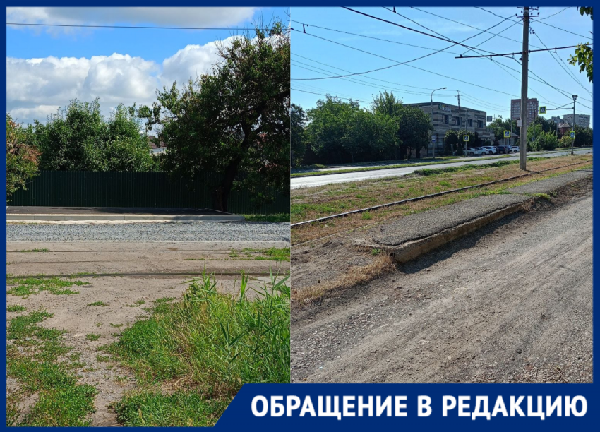 В Ростове на Мичурина снесли две остановки — новых так и не поставили