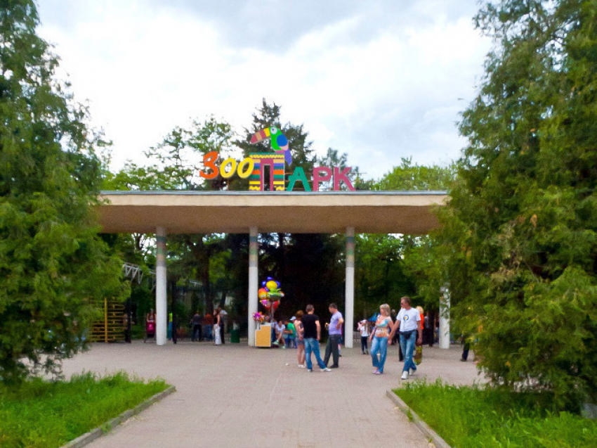 Ростовский зоопарк превратится в саванну