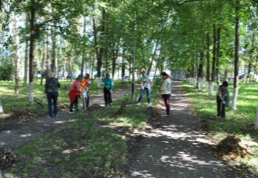 Фонари и пешеходные дорожки появятся в сквере Советского района Ростова 